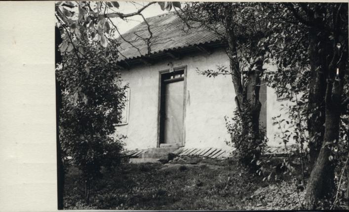 dom, skan 2