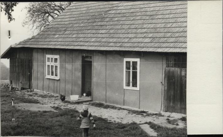 dom, skan 2
