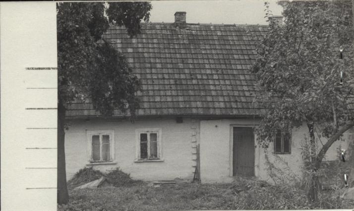 dom, skan 2