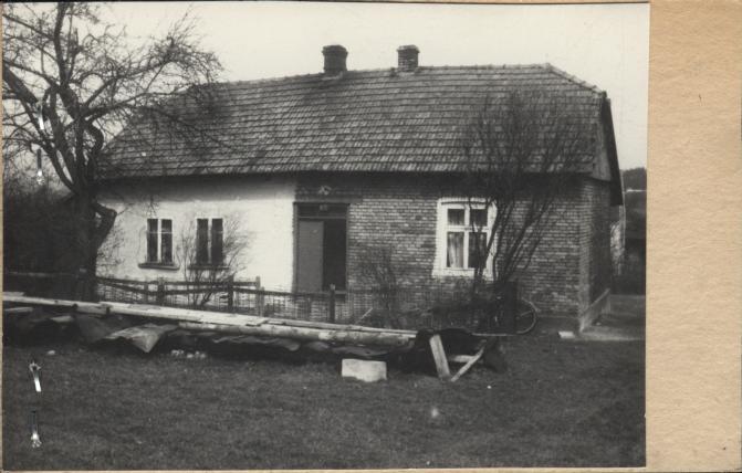 dom, skan 2