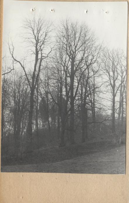 zespół dworski - d. park, skan 2