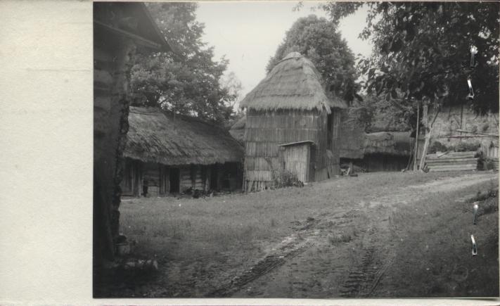 zagroda - dom, spichlerz, budynek inwentarski, bróg, stodoła, skan 2