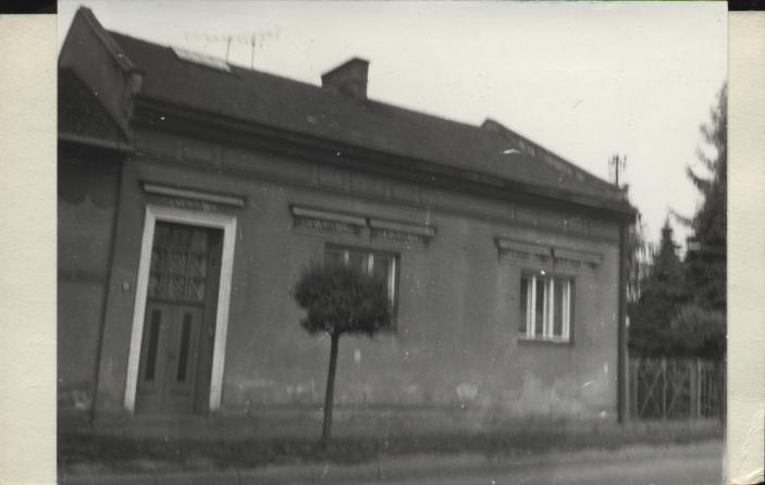 dom, skan 2