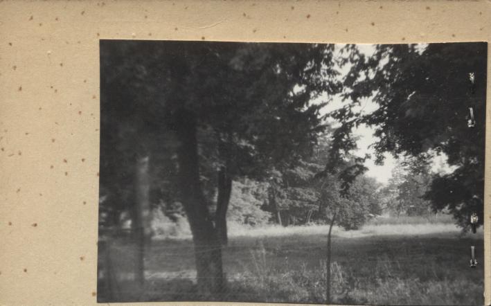 park ze stawem, park krajobrazowy, naturalistyczny, ślady p. klasycystycznego, p. angielskiego, skan 2