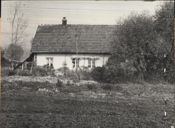 dom, skan 2