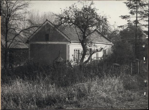 dom, skan 2
