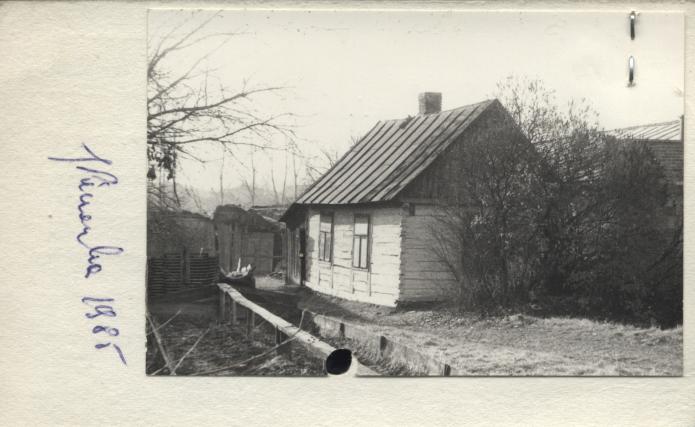 dom, skan 2