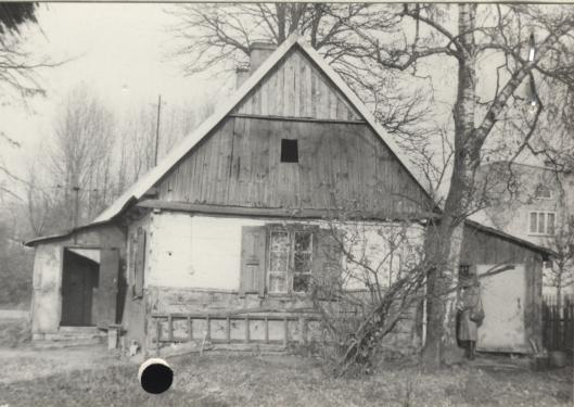 dom, skan 3