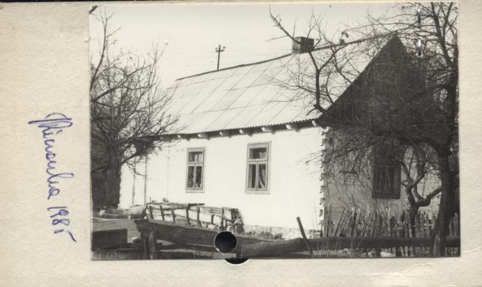 dom, skan 2