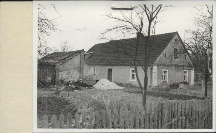 dom, skan 2