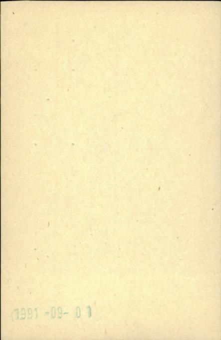 ogrodzenie, skan 2