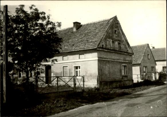dom, skan 3