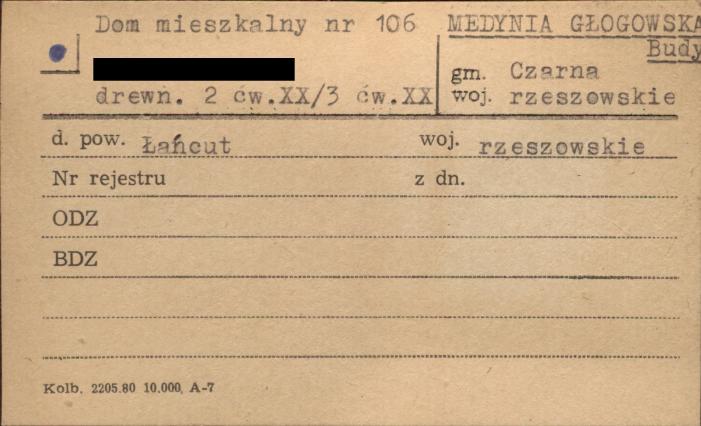 dom, skan 1