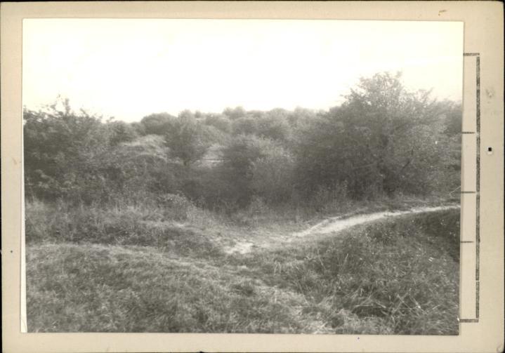 fort cytadelowy W XVI Zniesienie, skan 3