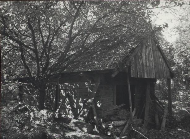 dom, skan 4
