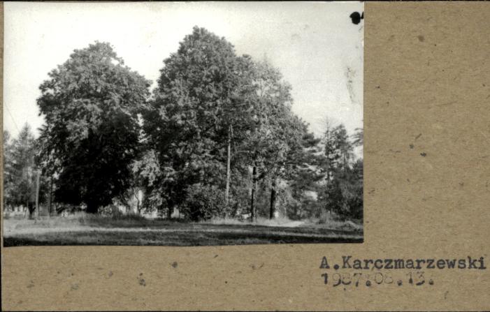 park (fragment), skan 2