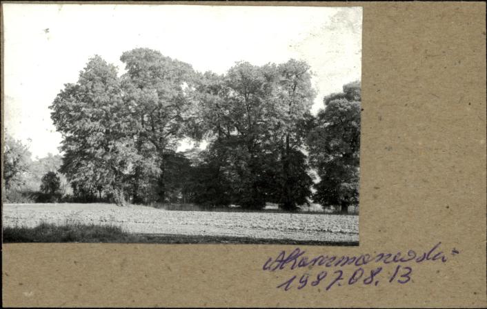 park (fragment), skan 4