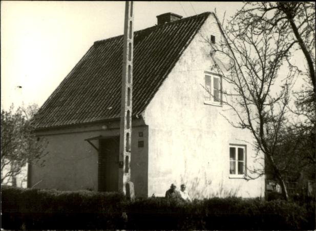 dom, skan 3