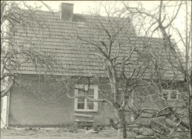 dom, skan 3