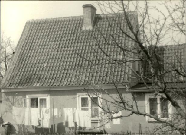 dom, skan 3
