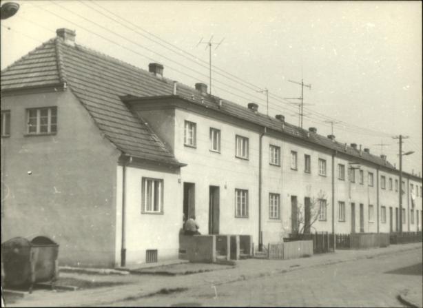 dom, skan 5