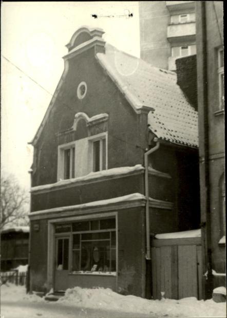 dom, skan 2