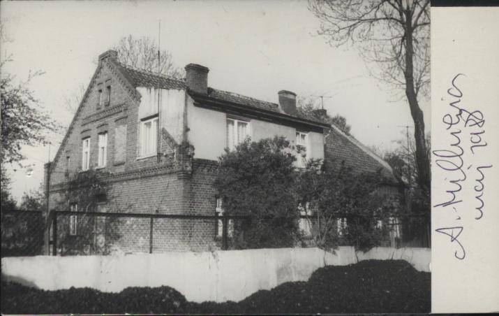 dom, skan 2
