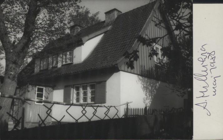 dom, skan 2