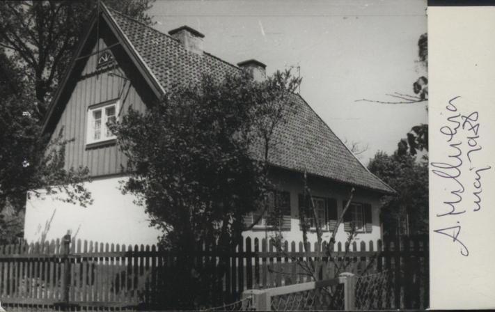 dom, skan 3