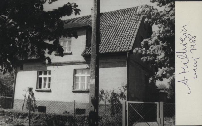 dom, skan 3