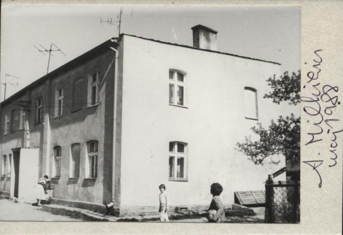 dom, skan 2