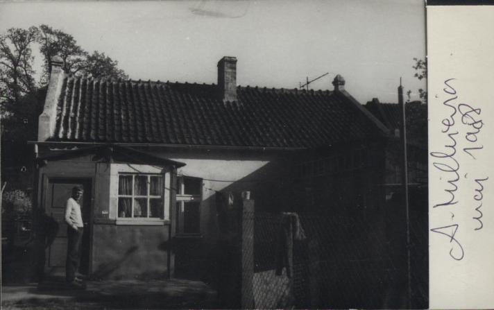 dom, skan 2