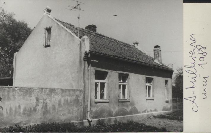 dom, skan 3