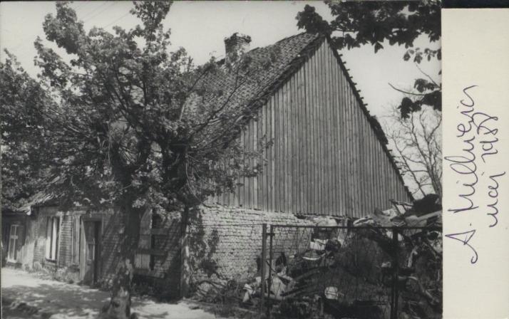 dom, skan 2