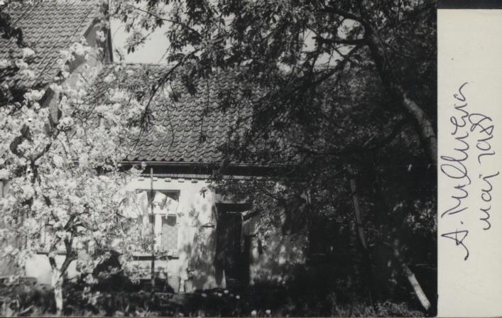 dom, skan 3