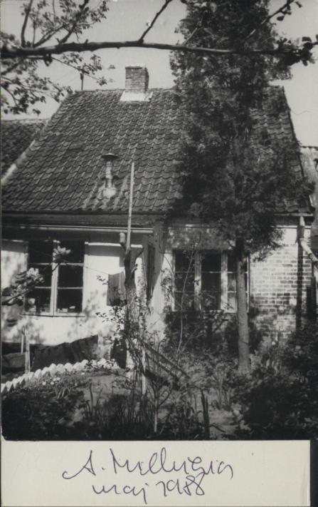 dom, skan 3