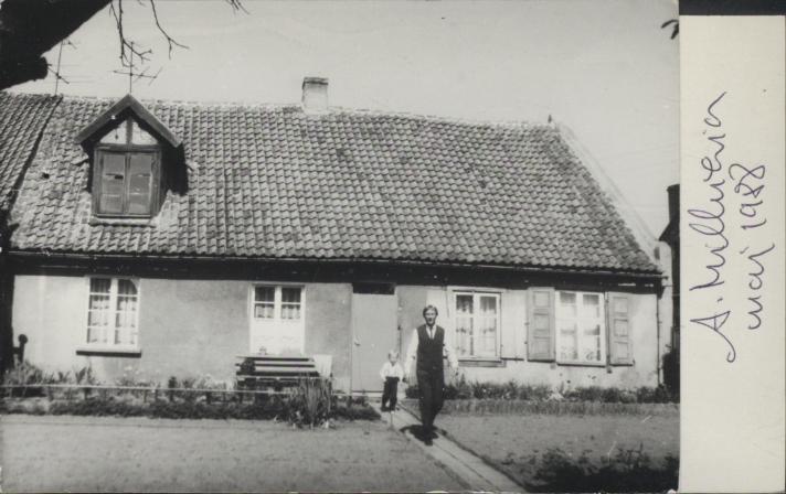 dom, skan 2