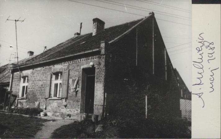 dom, skan 2