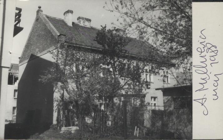 dom, skan 2