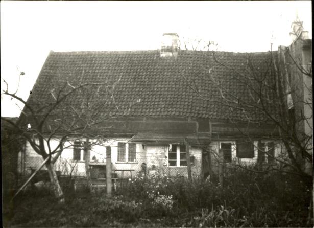 dom, skan 3