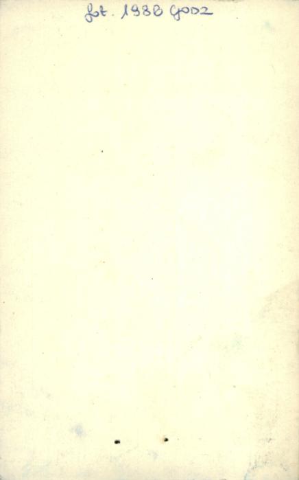 dom mieszkalny, sklep, skan 2