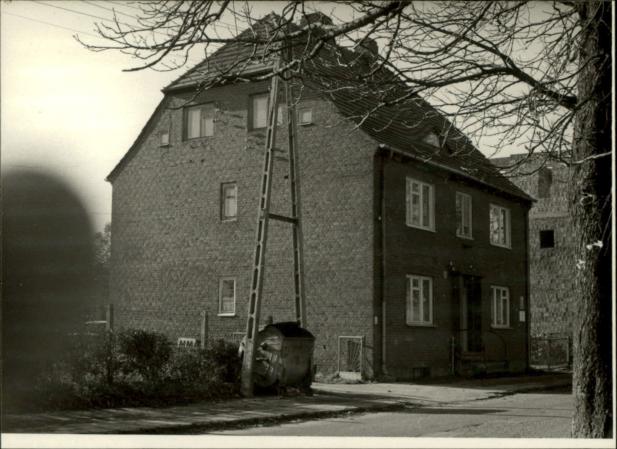 dom, skan 3