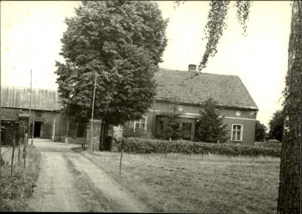 dom, skan 3