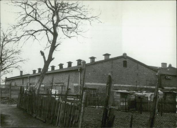 budynek gospodarczy, skan 3