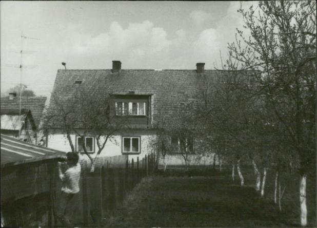 dom, skan 3
