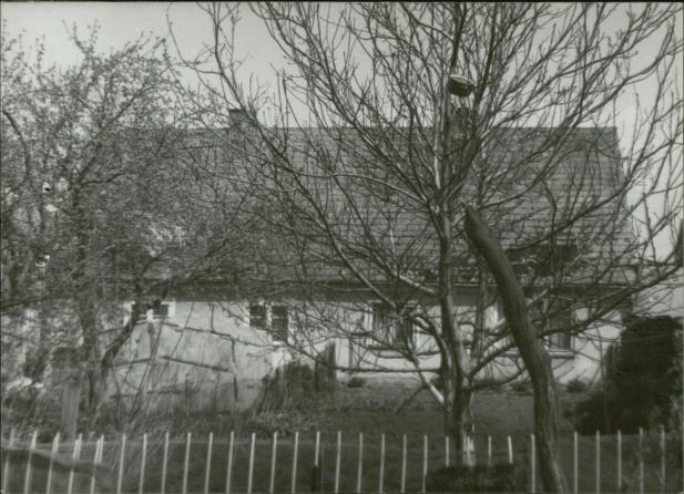 dom, skan 4