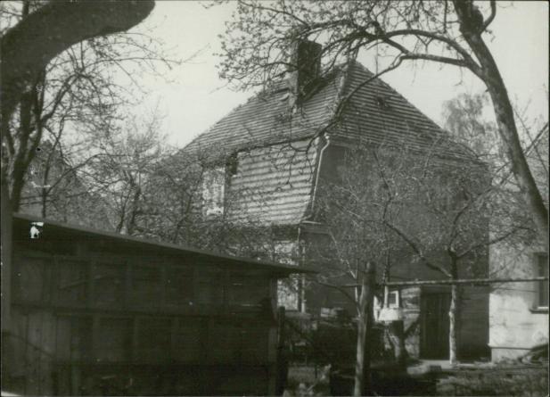 dom, skan 3