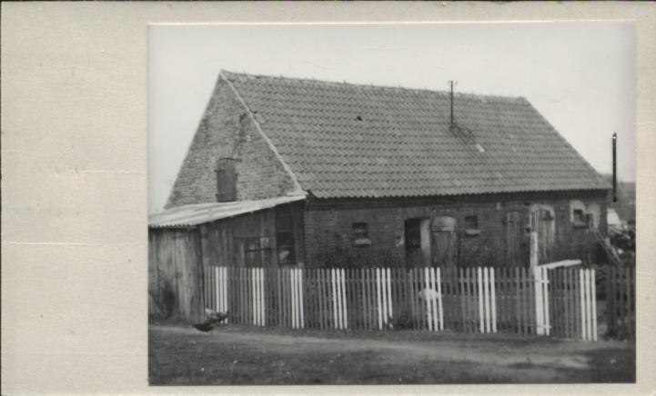 drewutnia, skan 2
