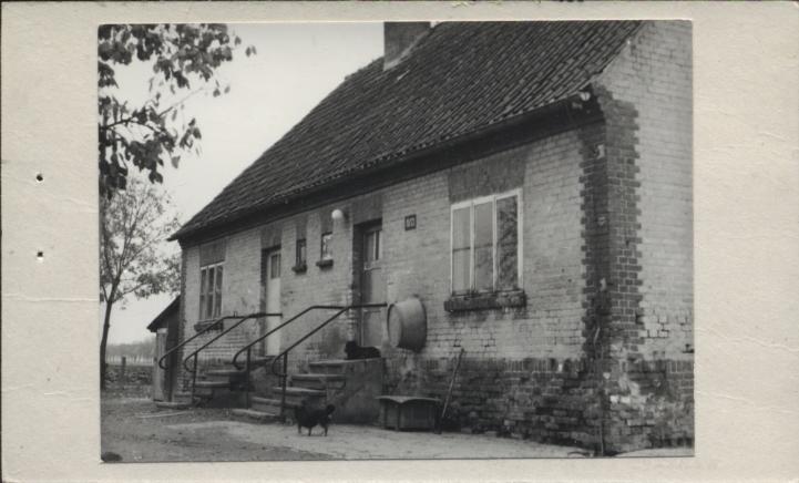 dom, skan 3