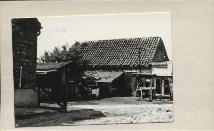 drewutnia, skan 2